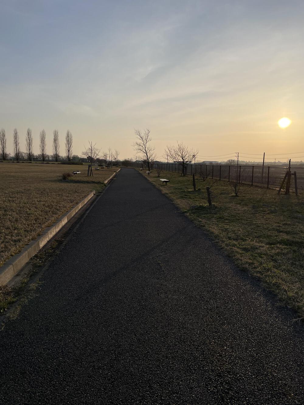 桜満開とともに歩む－新潟・太夫浜運動公園で走る14kmの写真5