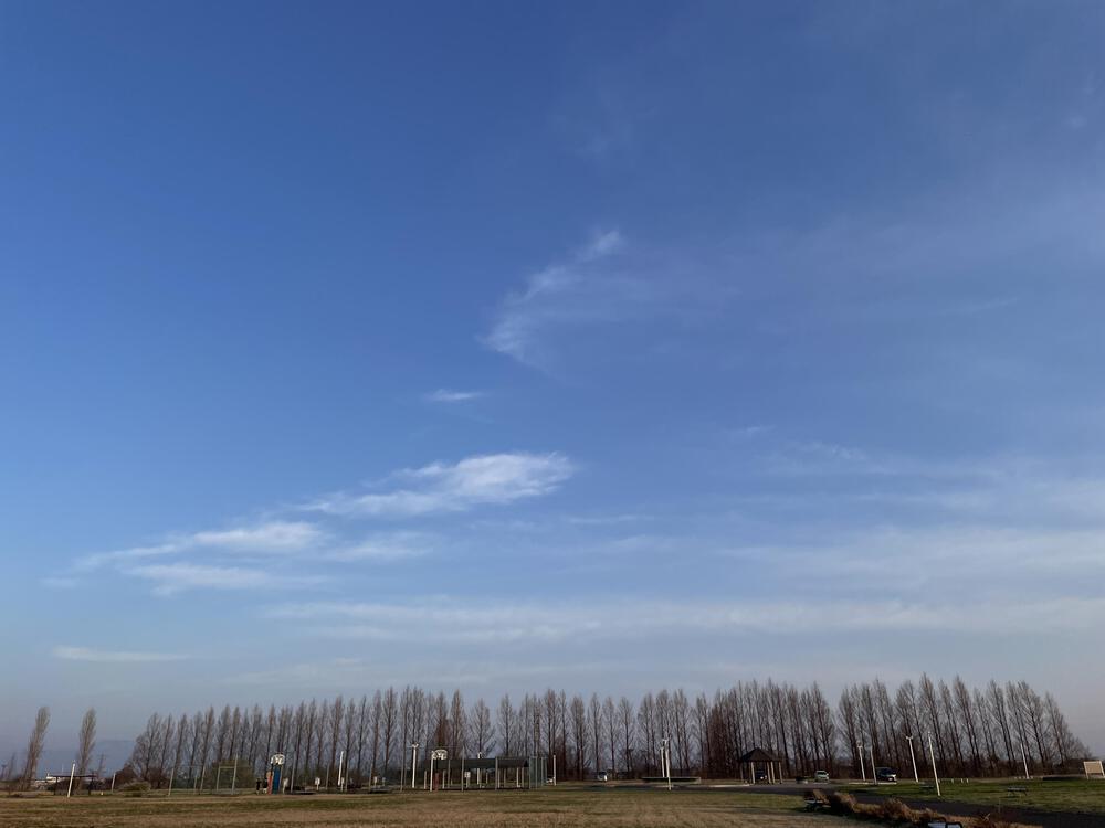 桜満開とともに歩む－新潟・太夫浜運動公園で走る14kmの写真7