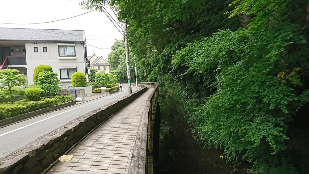 フラペチーノが最高に美味しくなる！緑豊かな二子玉川公園⇔砧公園の往復コースの写真4