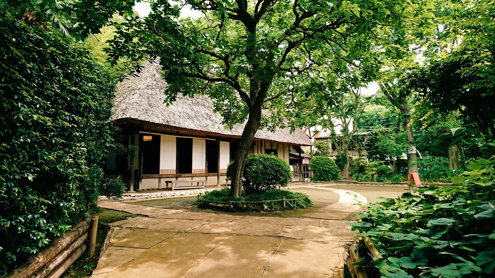 フラペチーノが最高に美味しくなる！緑豊かな二子玉川公園⇔砧公園の往復コースの写真5