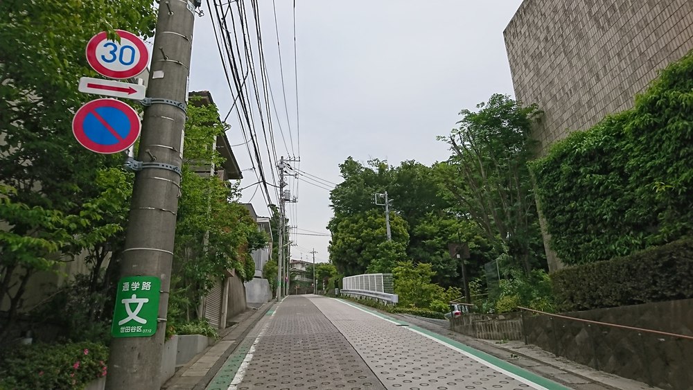 フラペチーノが最高に美味しくなる！緑豊かな二子玉川公園⇔砧公園の往復コースの写真6