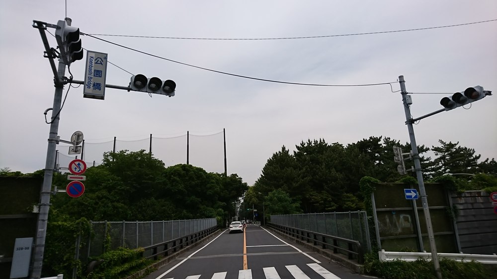 フラペチーノが最高に美味しくなる！緑豊かな二子玉川公園⇔砧公園の往復コースの写真7