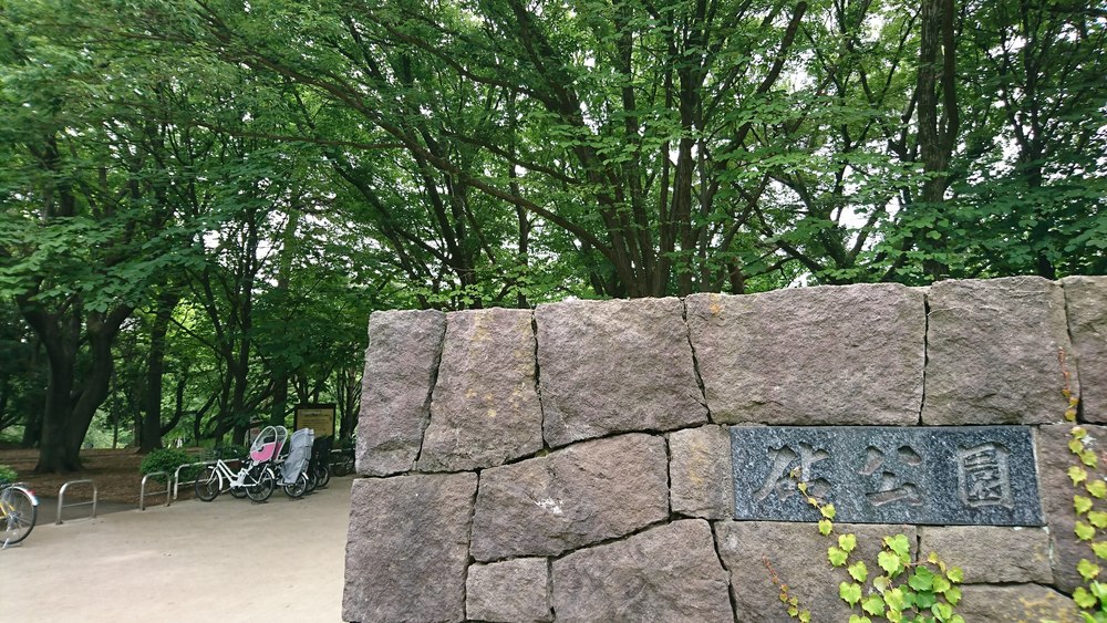 フラペチーノが最高に美味しくなる！緑豊かな二子玉川公園⇔砧公園の往復コースの写真8