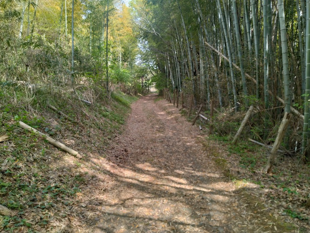 JR八王子駅→絹の道→高幡不動→新撰組のふるさと→JR日野駅の写真3