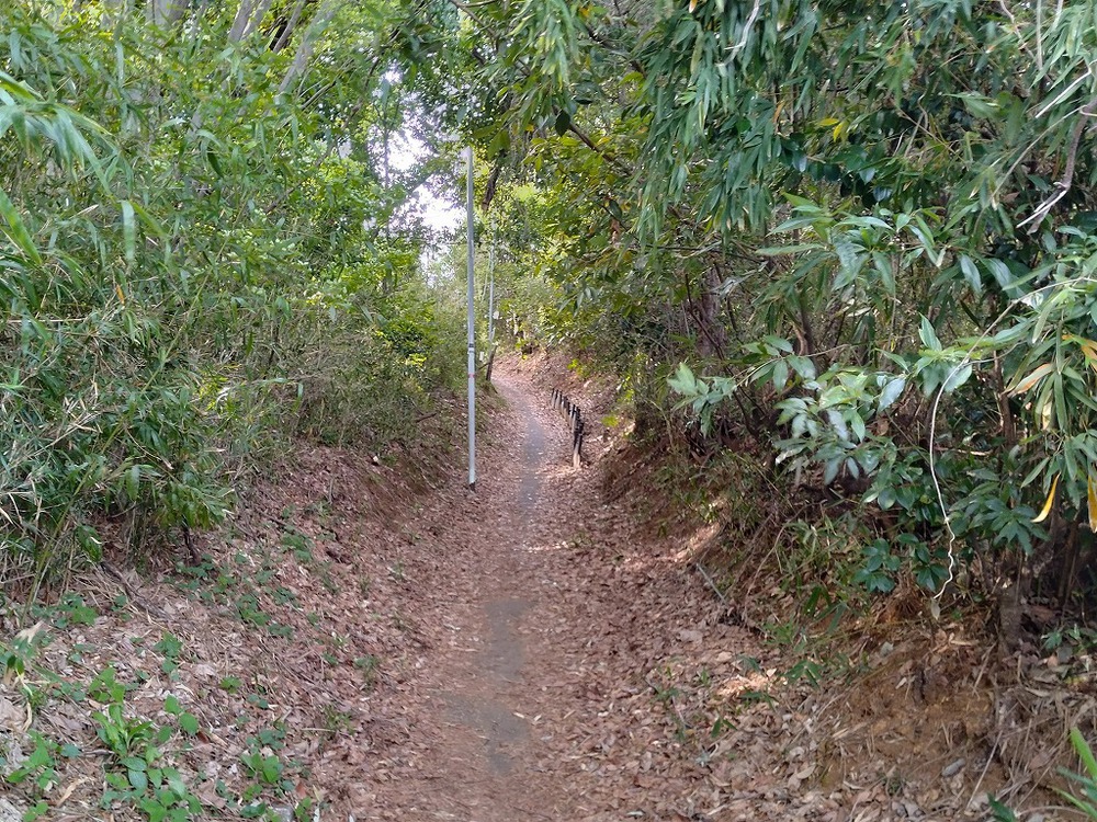 JR八王子駅→絹の道→高幡不動→新撰組のふるさと→JR日野駅の写真8