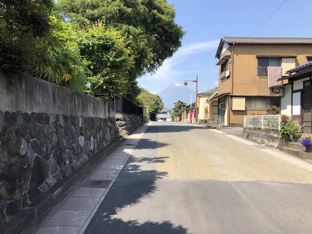 東海自然歩道 静岡バイパスコース はたご池～金丸山～かりがね堤の写真4