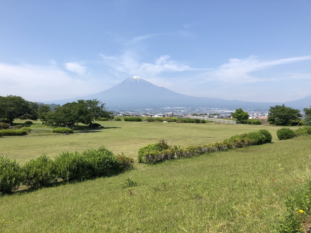東海自然歩道 静岡バイパスコース はたご池～金丸山～かりがね堤の写真6