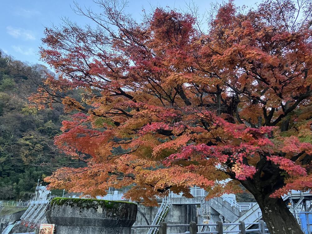 富山の駅巡り　気まぐれ廃線ロード編　加越能鉄道加越線の写真3