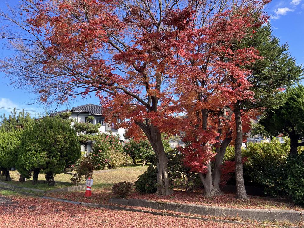 富山の駅巡り　気まぐれ廃線ロード編　加越能鉄道加越線の写真35