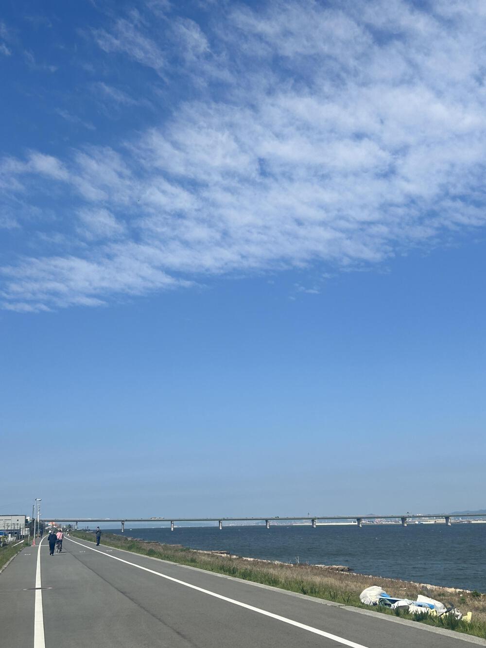 【期間限定】盛り上がりを楽しむ万博ラン12km！の写真3