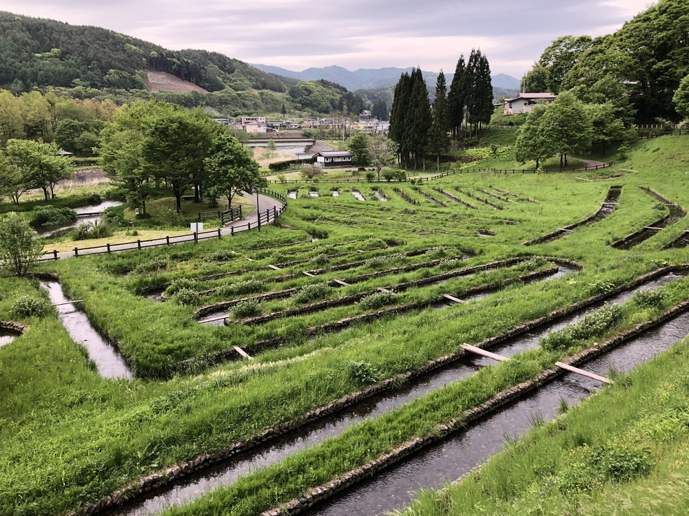 長野県辰野町自然たっぷり癒しのコースほたる童謡公園の写真4