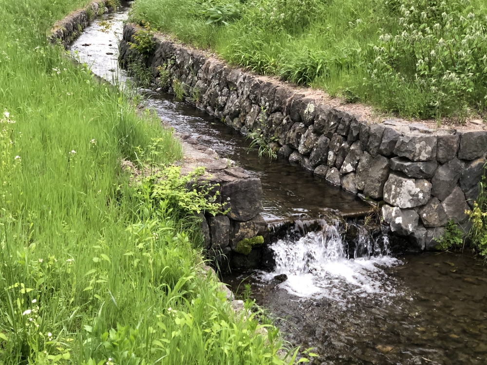 長野県辰野町自然たっぷり癒しのコースほたる童謡公園の写真6