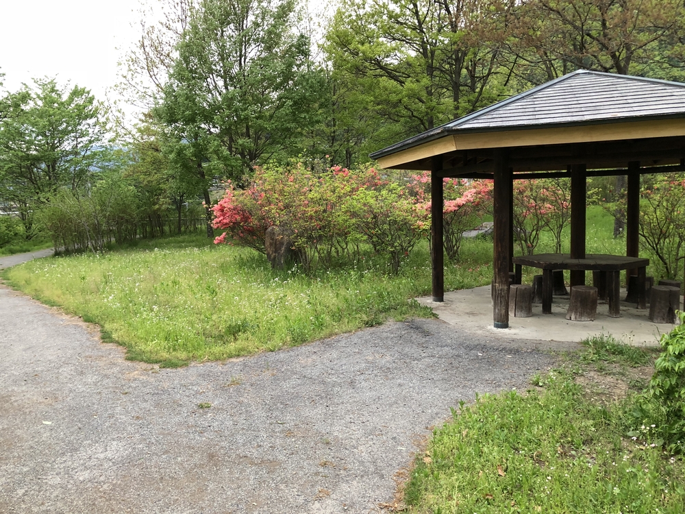 長野県辰野町自然たっぷり癒しのコースほたる童謡公園の写真8