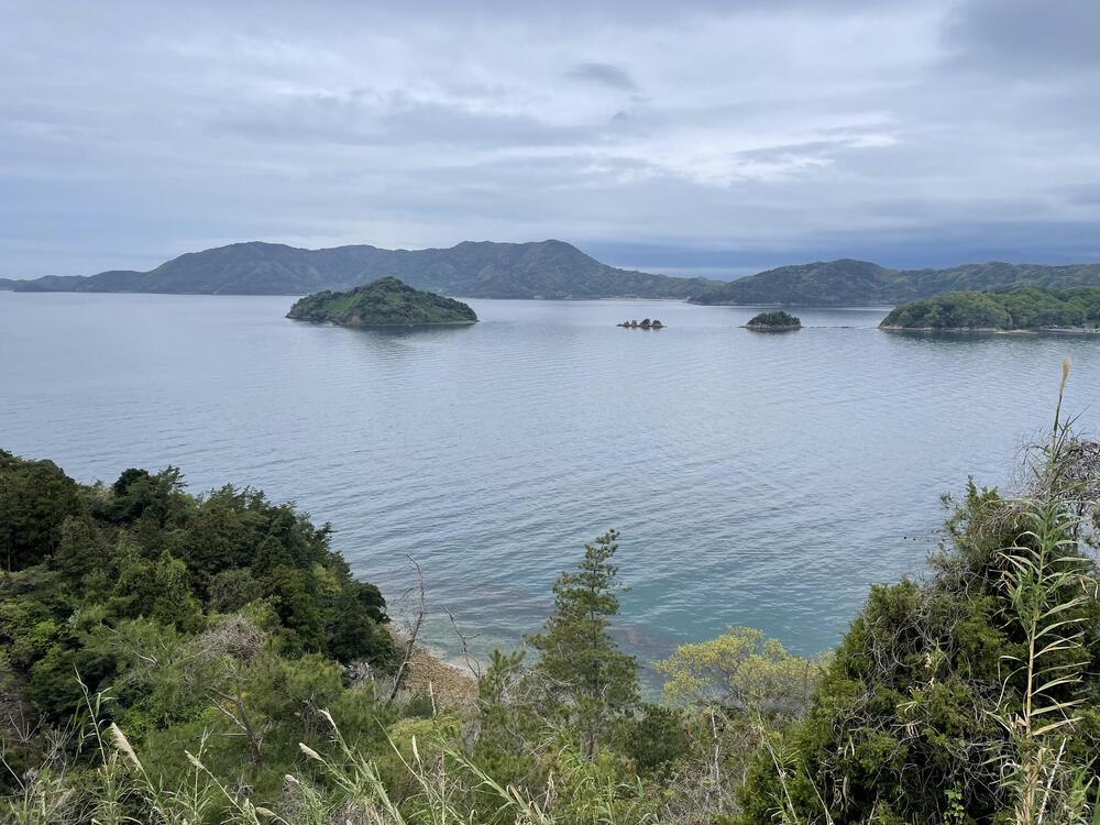 周防大島マラニックの写真3