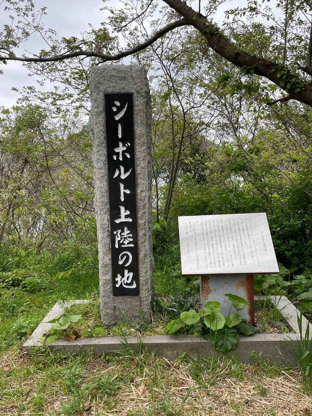 周防大島マラニックの写真5