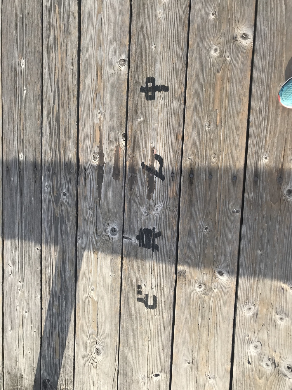 【静岡県 藤枝駅発】蓬莱橋を目指して厄無し長生きランの写真7