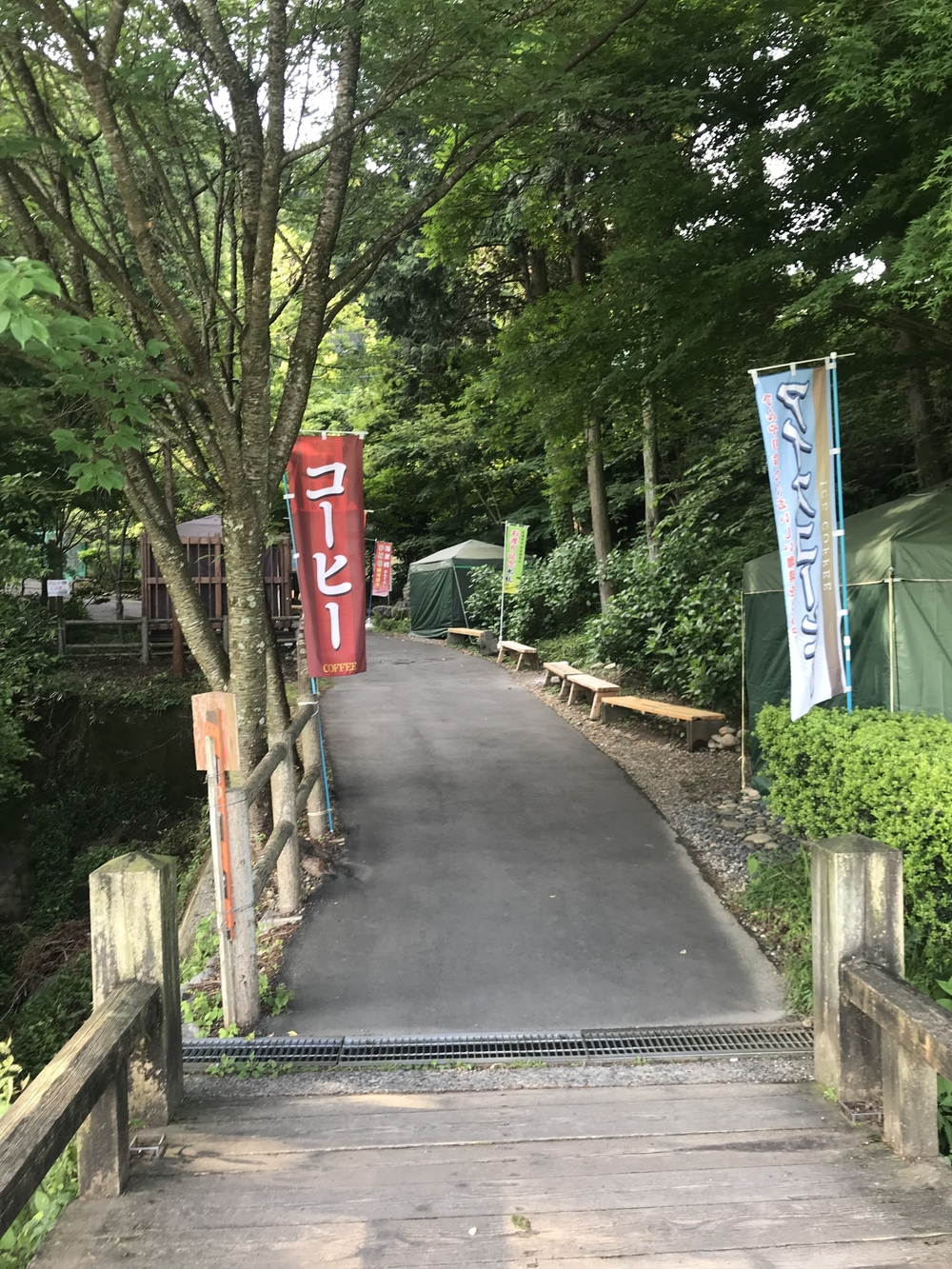 【静岡県 藤枝駅発】蓬莱橋を目指して厄無し長生きランの写真8