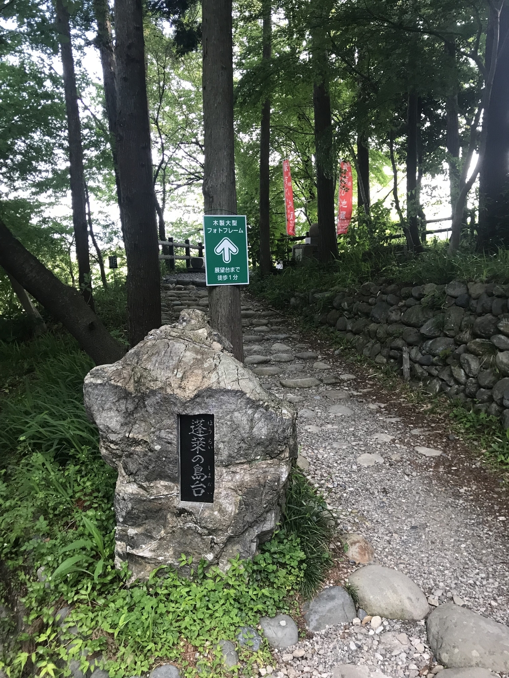 【静岡県 藤枝駅発】蓬莱橋を目指して厄無し長生きランの写真9