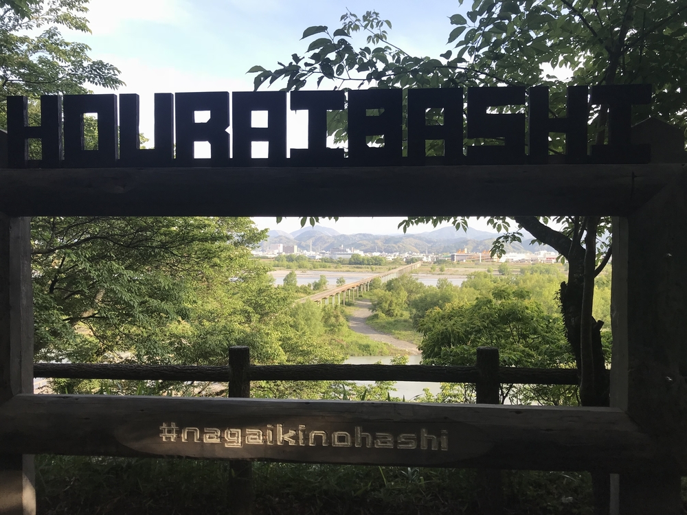 【静岡県 藤枝駅発】蓬莱橋を目指して厄無し長生きランの写真10