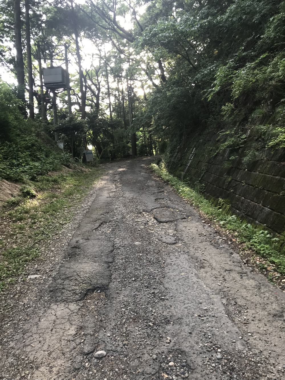 【静岡県 藤枝駅発】蓬莱橋を目指して厄無し長生きランの写真11