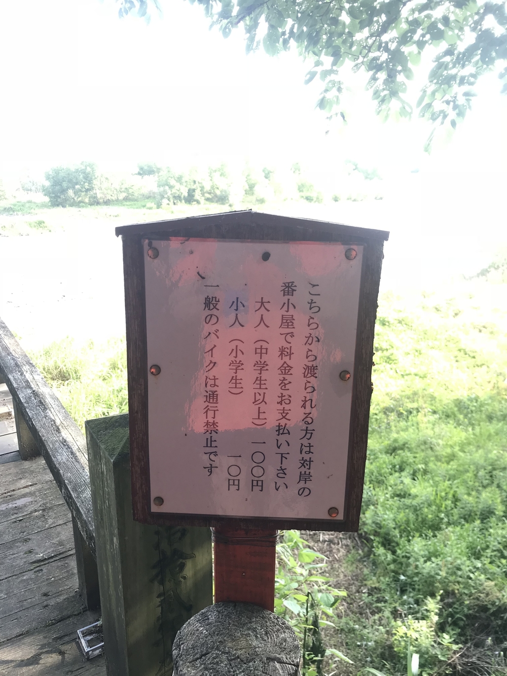 【静岡県 藤枝駅発】蓬莱橋を目指して厄無し長生きランの写真12