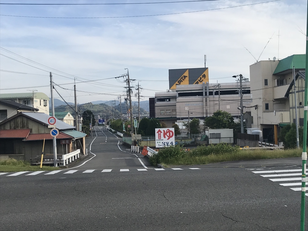 【静岡県 藤枝駅発】蓬莱橋を目指して厄無し長生きランの写真13