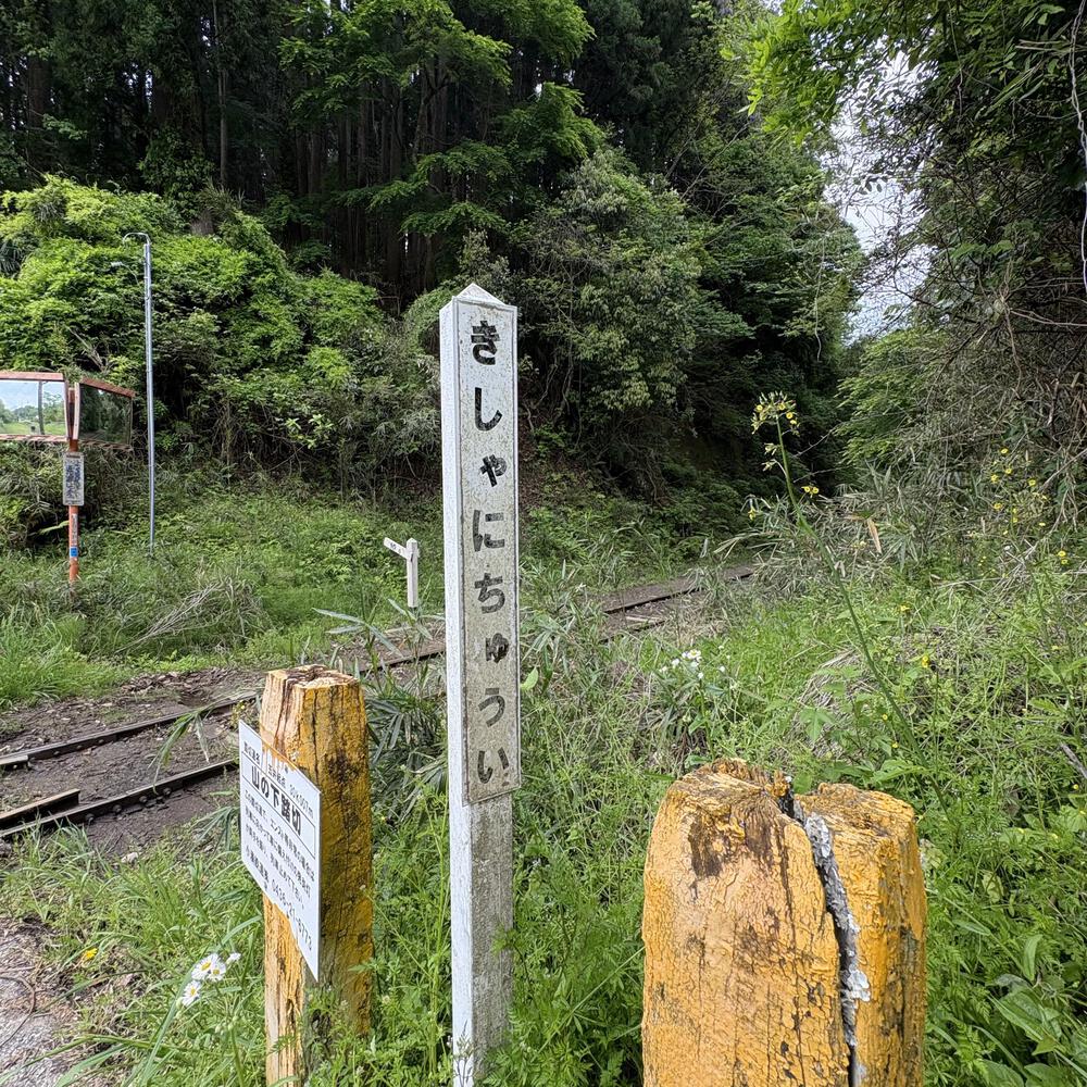 歴史を感じる小湊鐵道さと山ウォーク6区の写真4