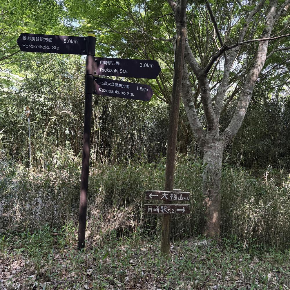 歴史を感じる小湊鐵道さと山ウォーク6区の写真5