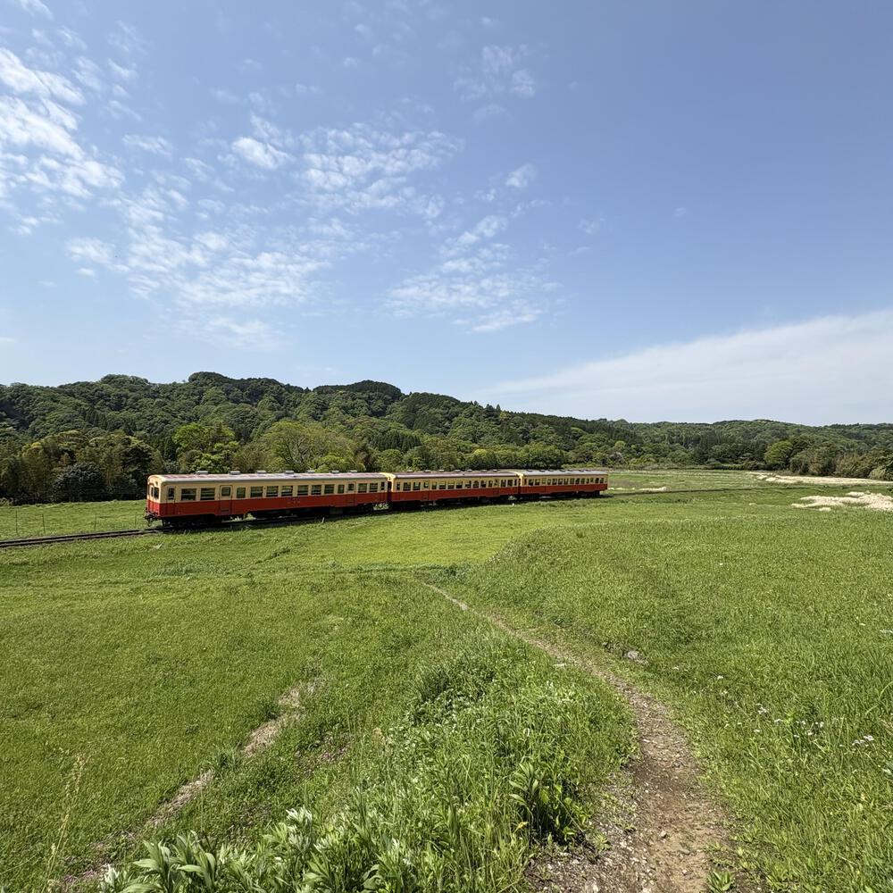 歴史を感じる小湊鐵道さと山ウォーク6区の写真6
