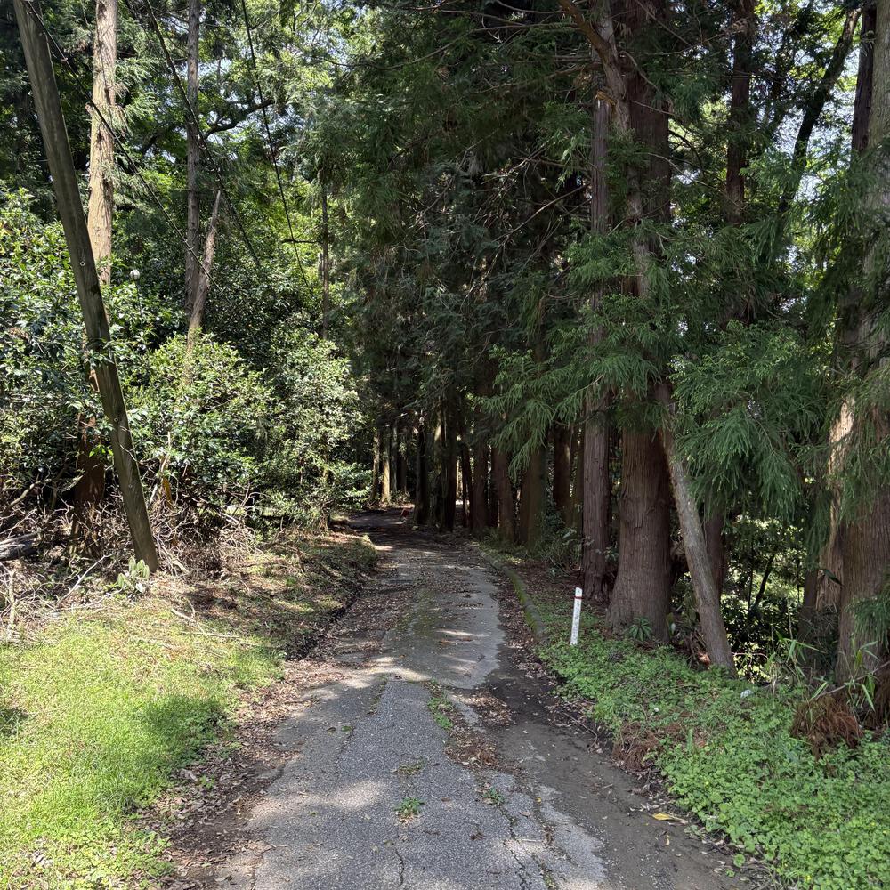 歴史を感じる小湊鐵道さと山ウォーク6区の写真8