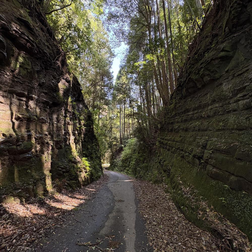 歴史を感じる小湊鐵道さと山ウォーク6区の写真10