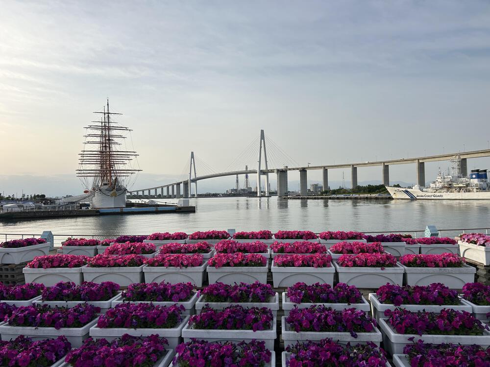 ウルトラ海岸線県境またぎ　新湊〜七尾往復100kmの写真5