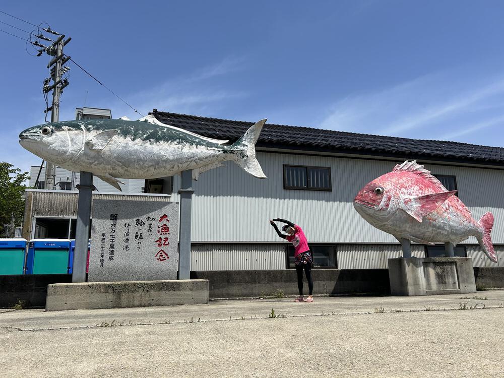 ウルトラ海岸線県境またぎ　新湊〜七尾往復100kmの写真26