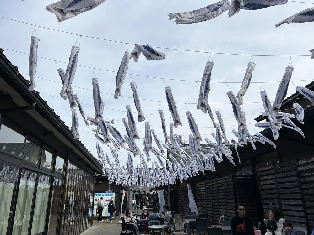 ウルトラ海岸線県境またぎ　新湊〜七尾往復100kmの写真34