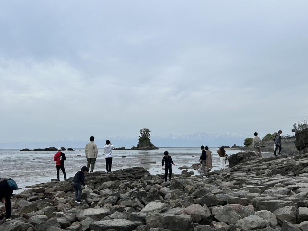 ウルトラ海岸線県境またぎ　新湊〜七尾往復100kmの写真35