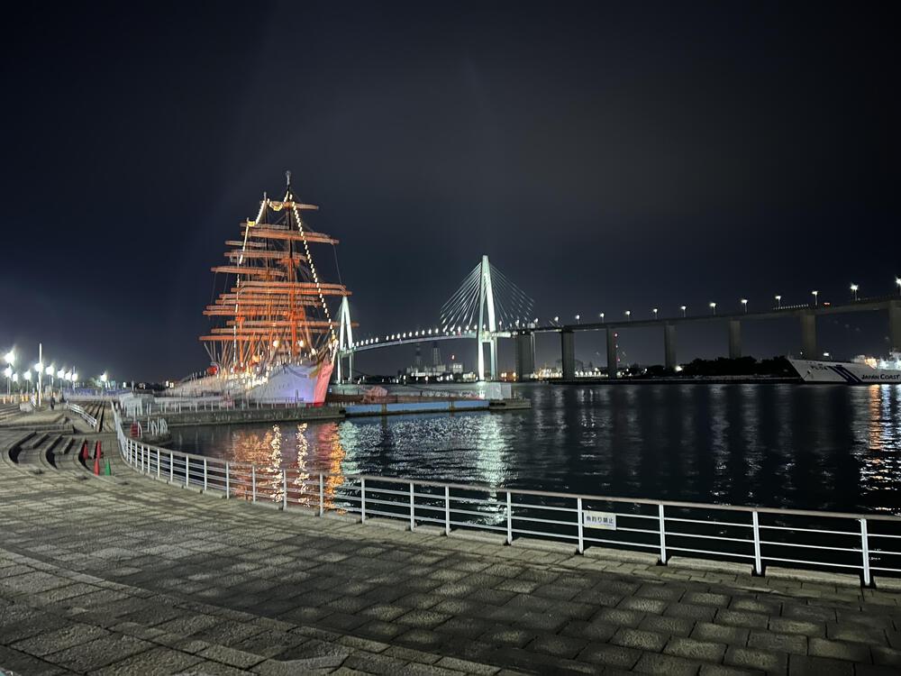 ウルトラ海岸線県境またぎ　新湊〜七尾往復100kmの写真41