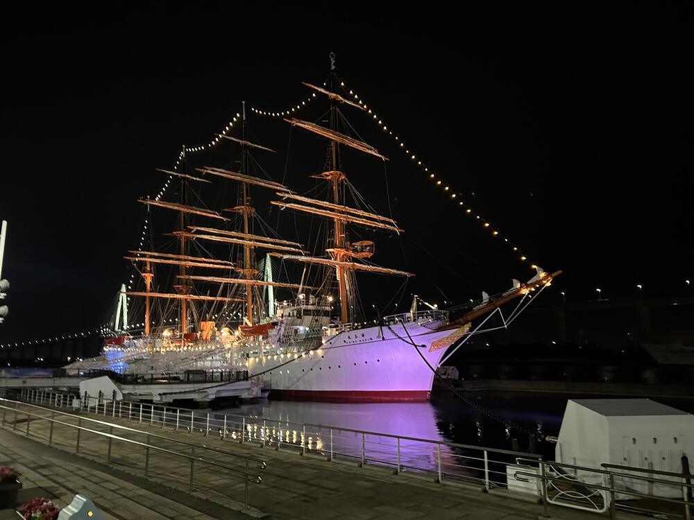 ウルトラ海岸線県境またぎ　新湊〜七尾往復100kmの写真42