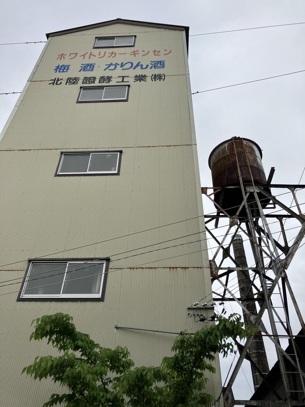 富山の駅巡り　あいの風とやま鉄道　水橋〜黒部21kmの写真7