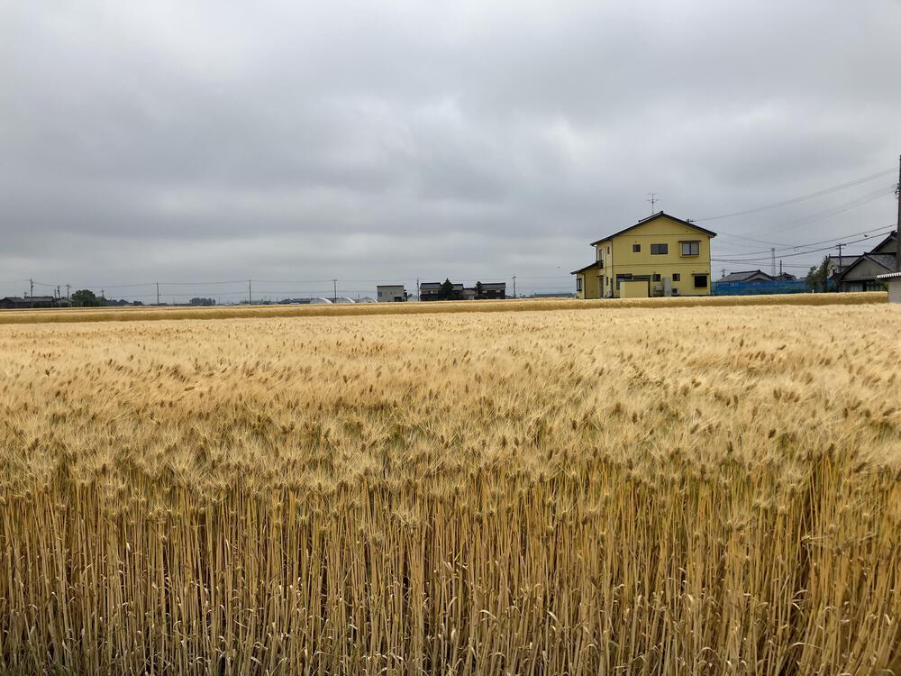 富山の駅巡り　あいの風とやま鉄道　黒部〜越中宮崎24kmの写真15