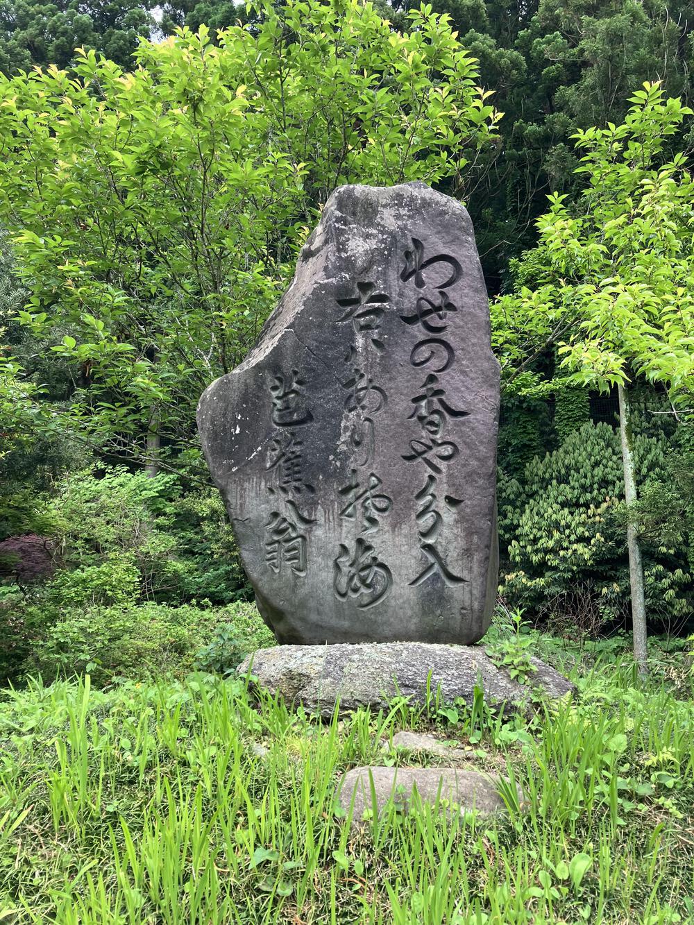 富山の駅巡り　あいの風とやま鉄道　黒部〜越中宮崎24kmの写真24