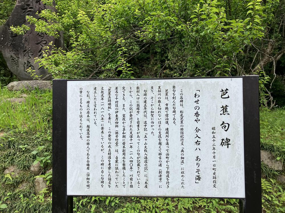 富山の駅巡り　あいの風とやま鉄道　黒部〜越中宮崎24kmの写真25