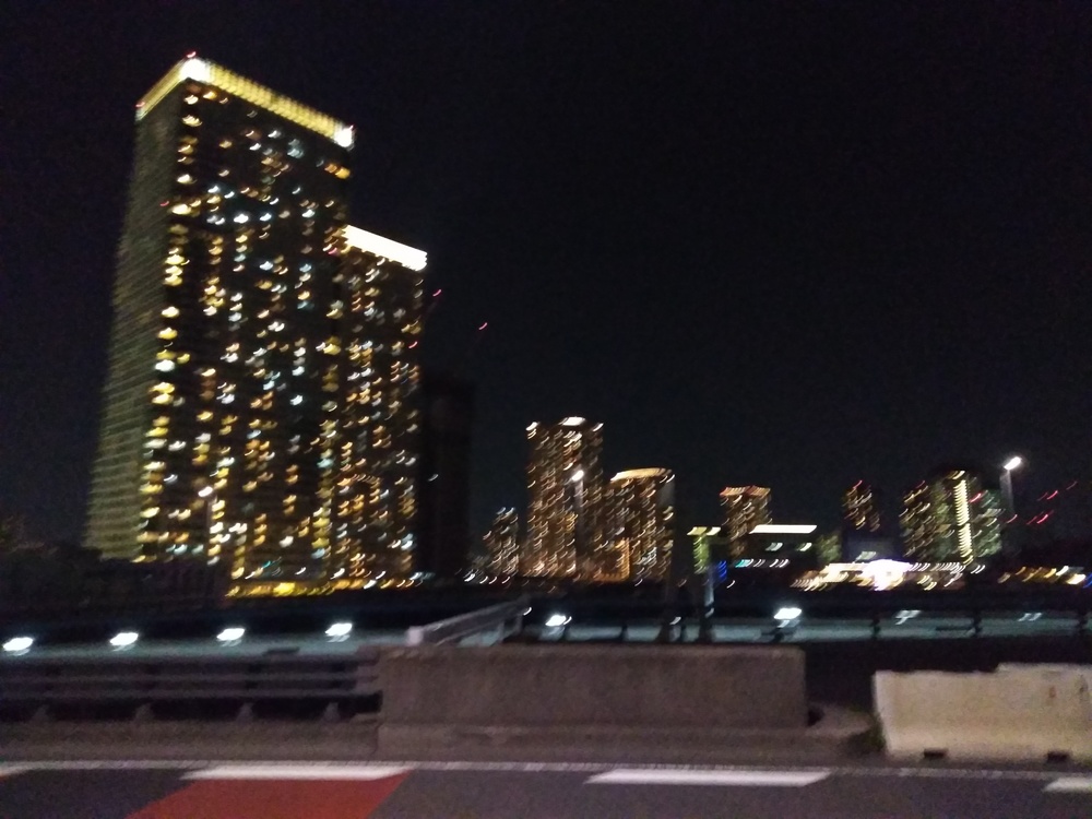 日比谷ライド発着！豊洲埠頭～公園巡りの写真3