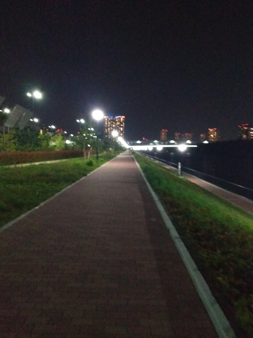 日比谷ライド発着！豊洲埠頭～公園巡りの写真7