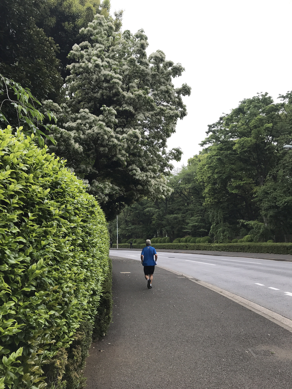 明治神宮外苑の写真3