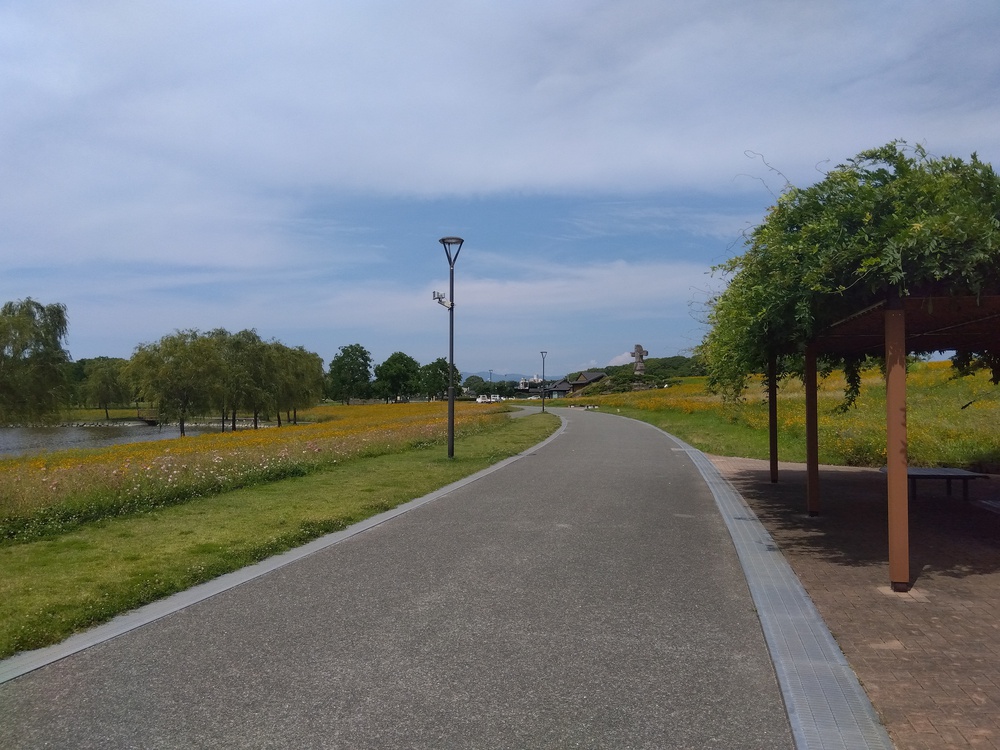 ■いろいろな走り方を楽しめます：筑後広域公園の写真3