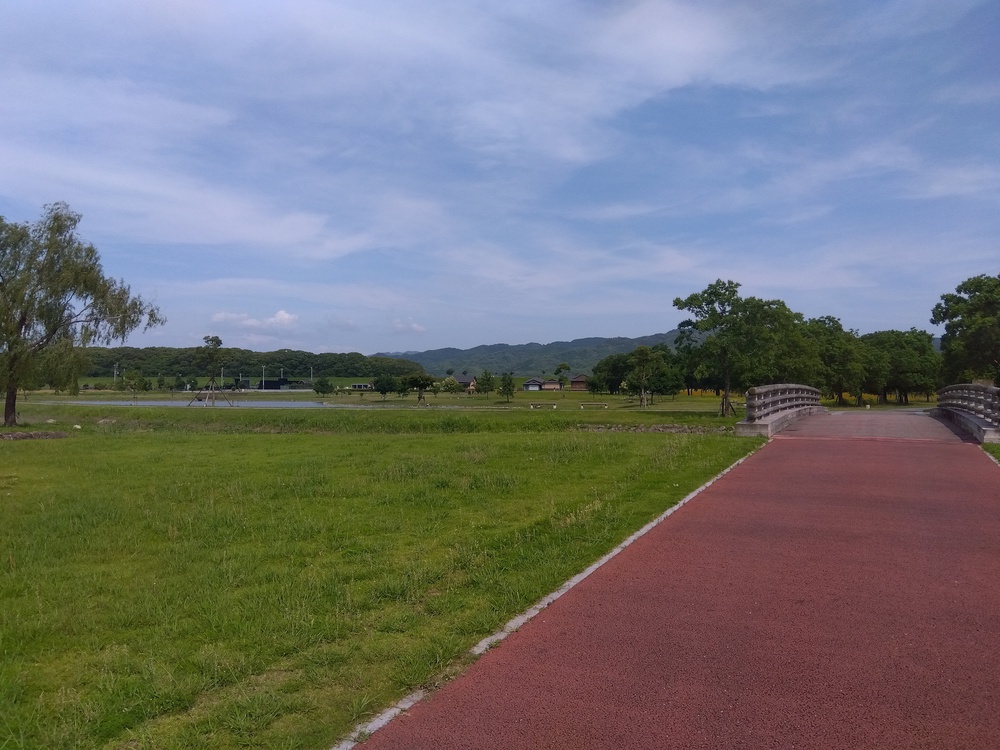 ■いろいろな走り方を楽しめます：筑後広域公園の写真4