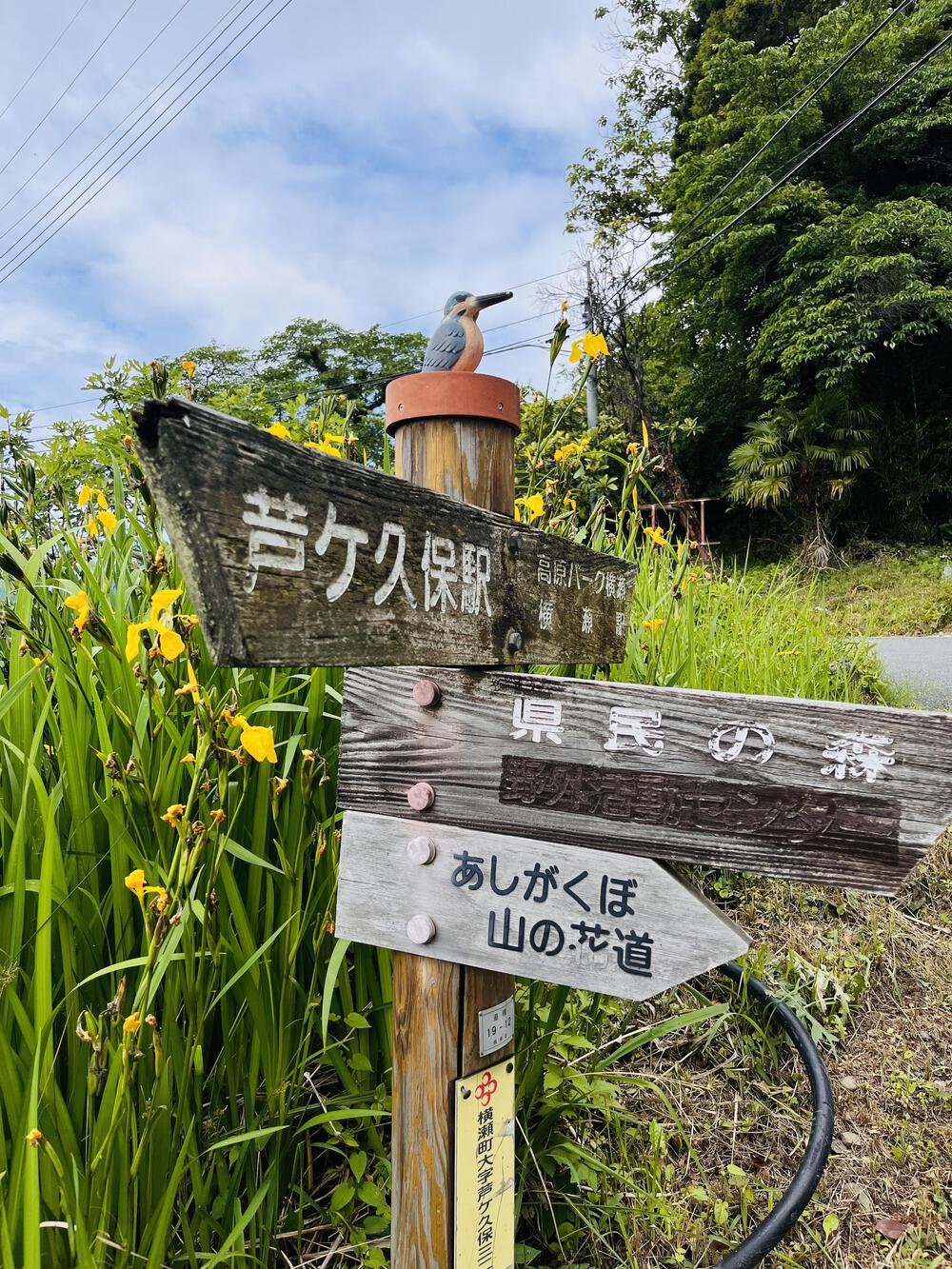 芦ヶ久保駅〜県民の森まで峠走の写真3
