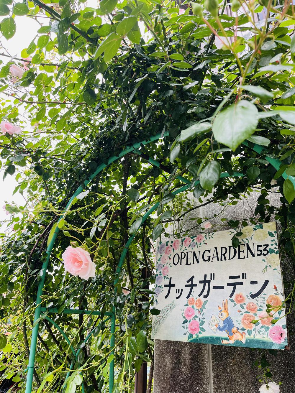 芦ヶ久保駅〜県民の森まで峠走の写真4