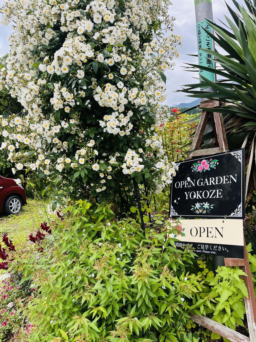 芦ヶ久保駅〜県民の森まで峠走の写真5
