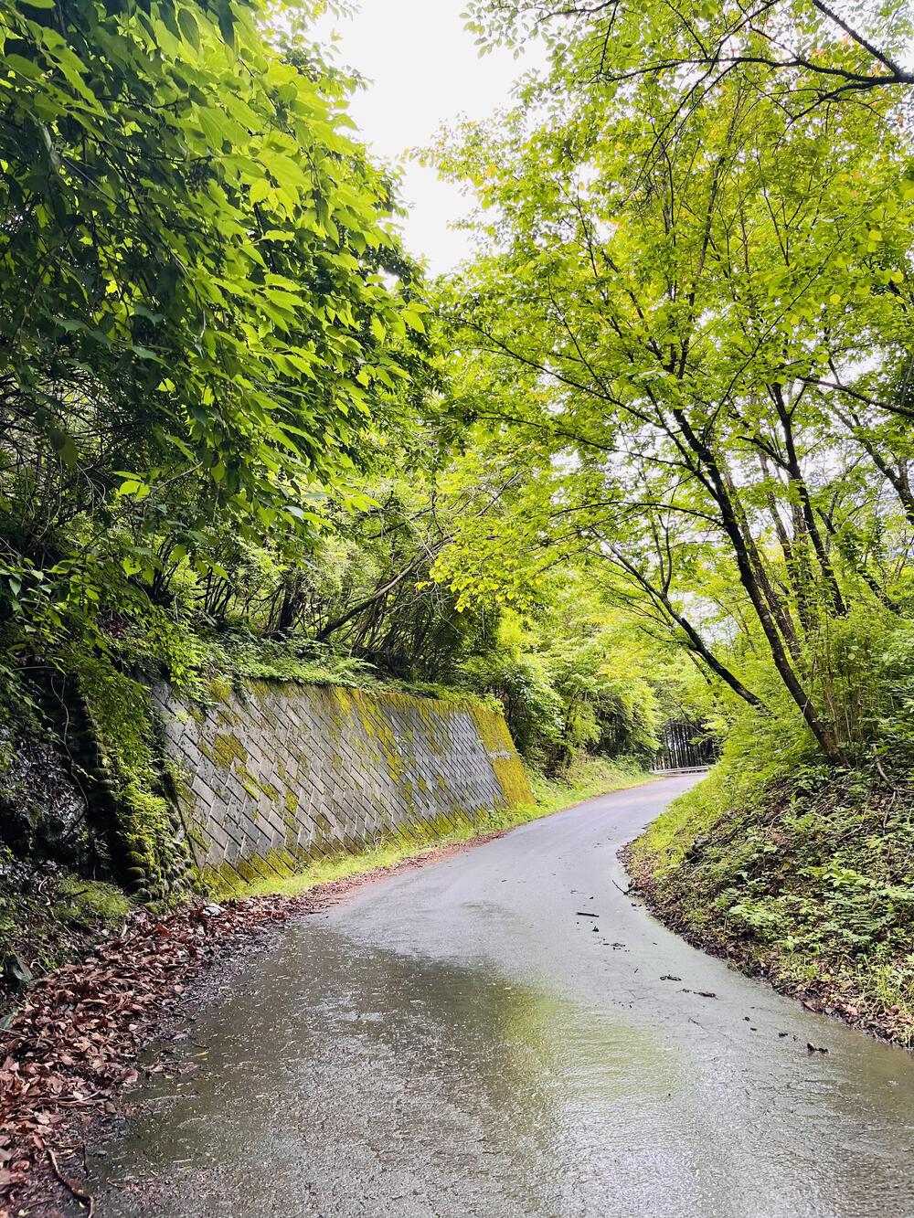 芦ヶ久保駅〜県民の森まで峠走の写真8